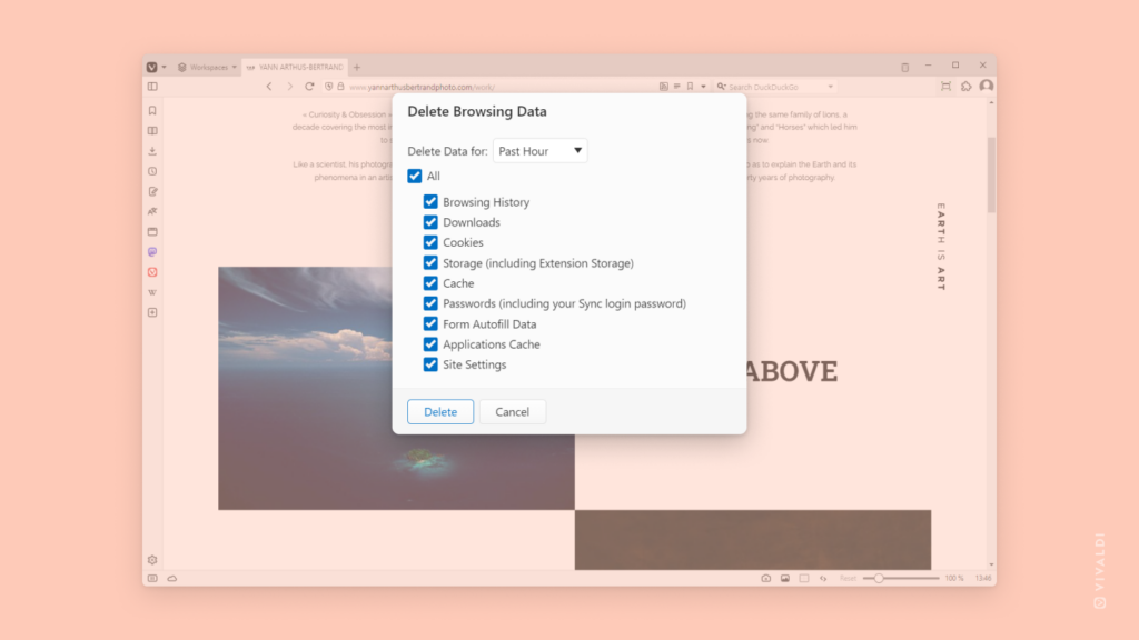 "Delete Browsing Data" dialog in Vivaldi browser.