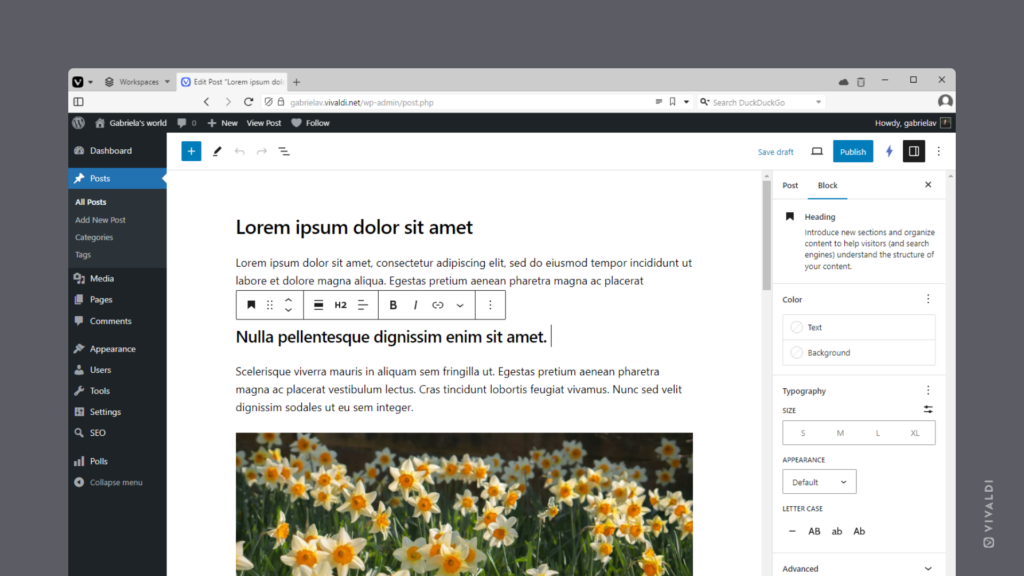 Vivaldi blog using the Blocks editor.