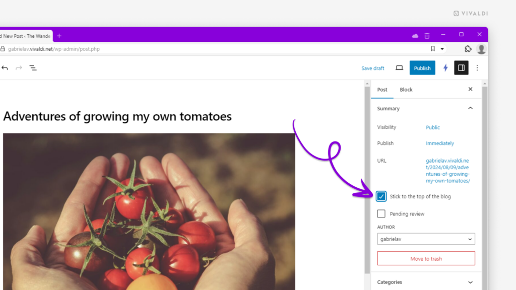 Vivaldi.net blog post open in the WordPress editor. An arrow is pointing to the "Stick to the top of the blog" checkbox in settings panel.
